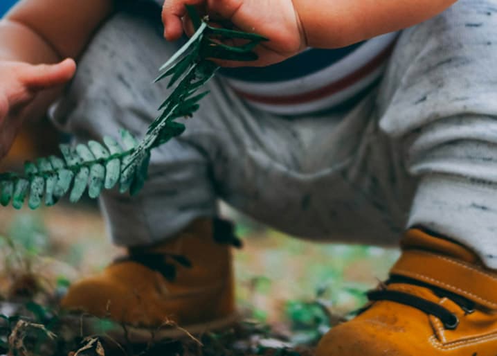 Illustration: projets family friendly