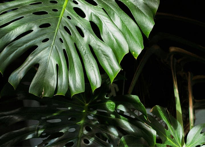 Illustration: Notre histoire