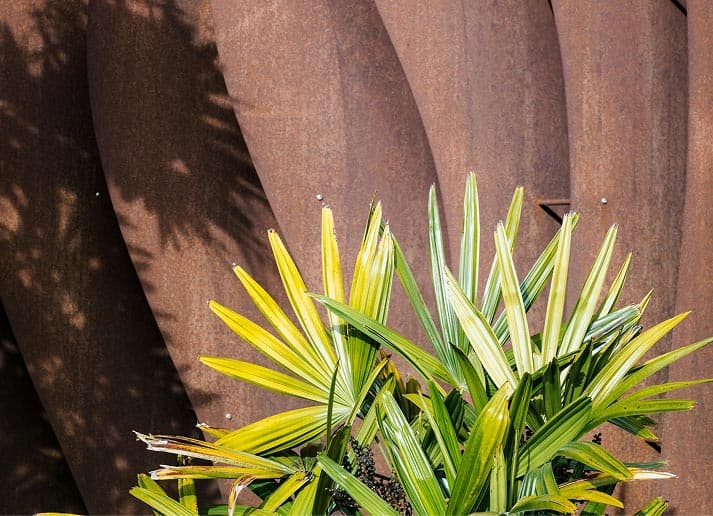 Illustration: Notre différence